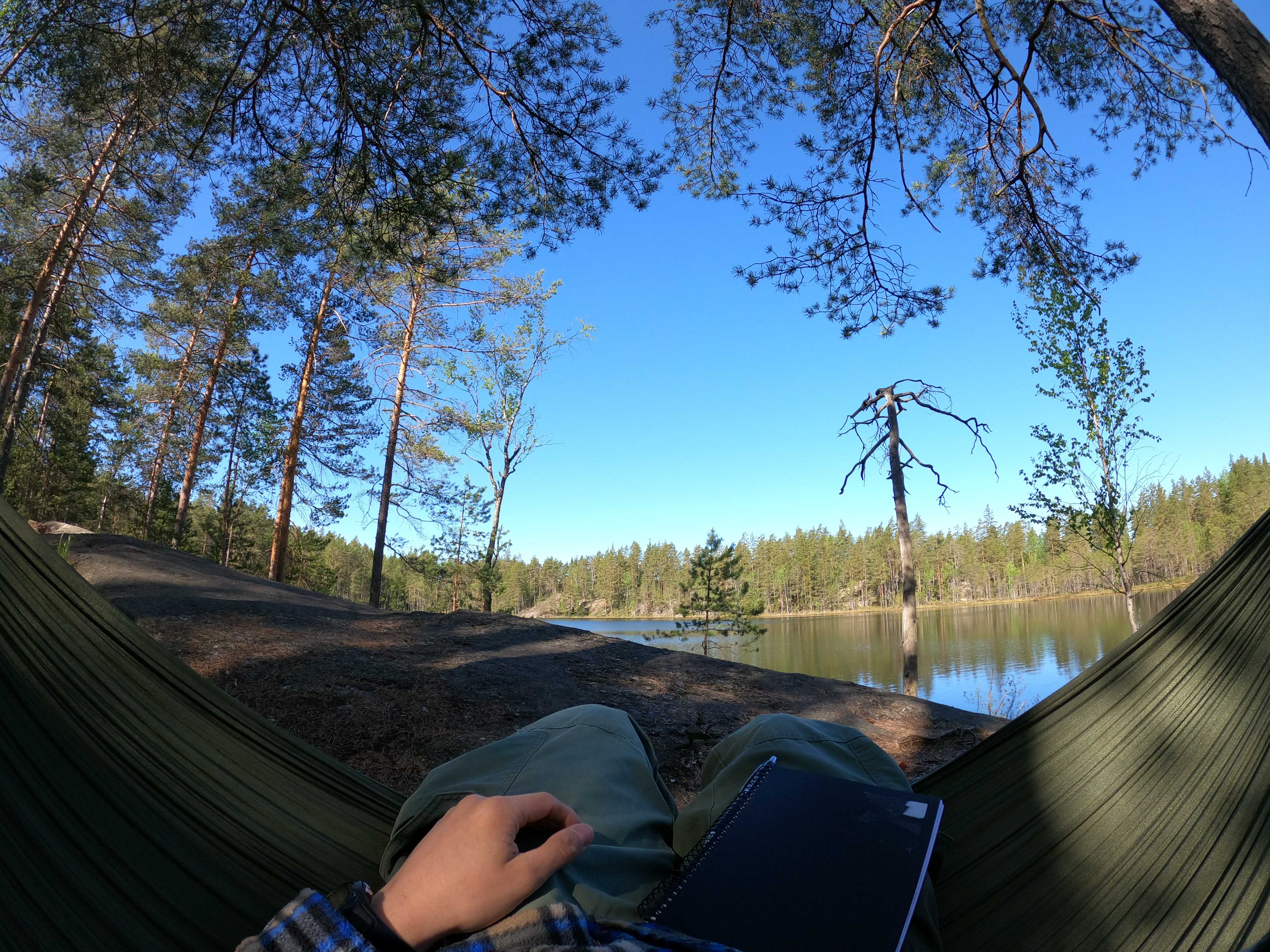 View from the Hammock